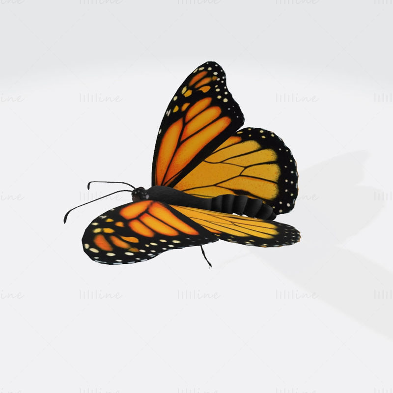 Monarch Butterfly 3D Print Model