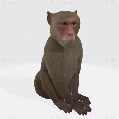 مدل پرینت سه بعدی میمون