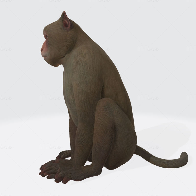 3D-Druckmodell eines Affen