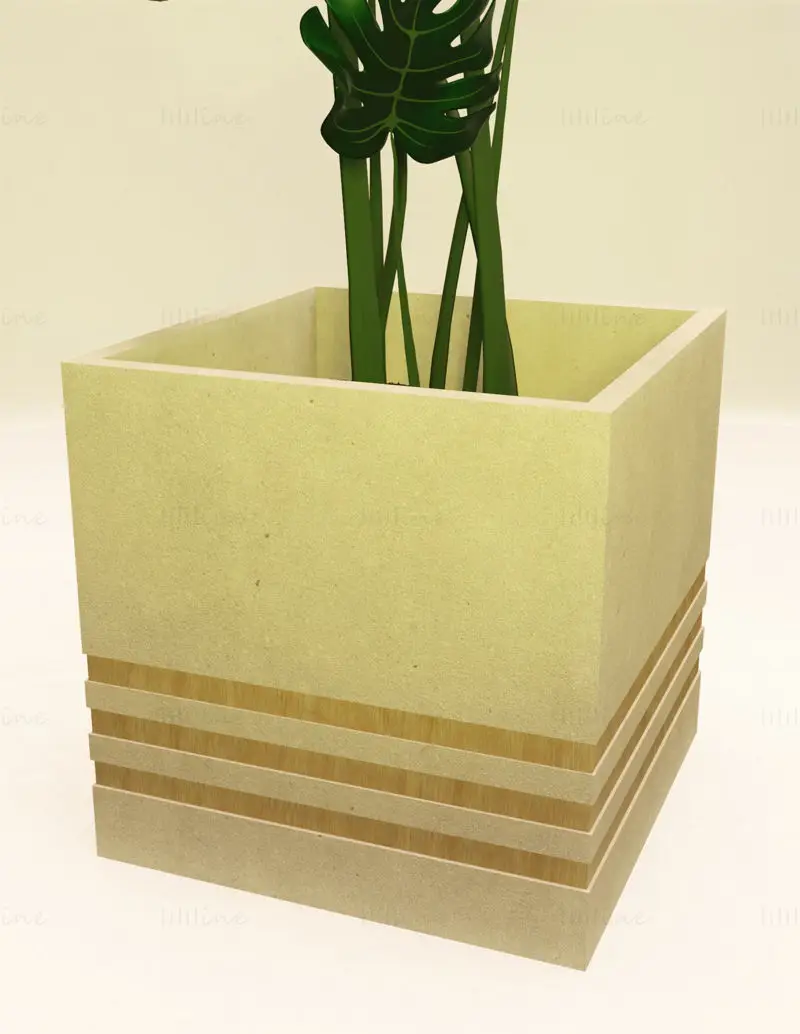 3д модель растения Монстера в бетонном и деревянном горшке