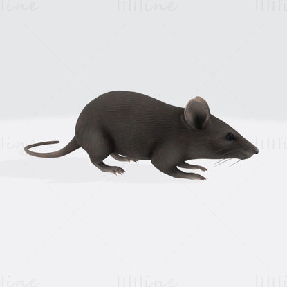 Modèle d'impression 3D de souris