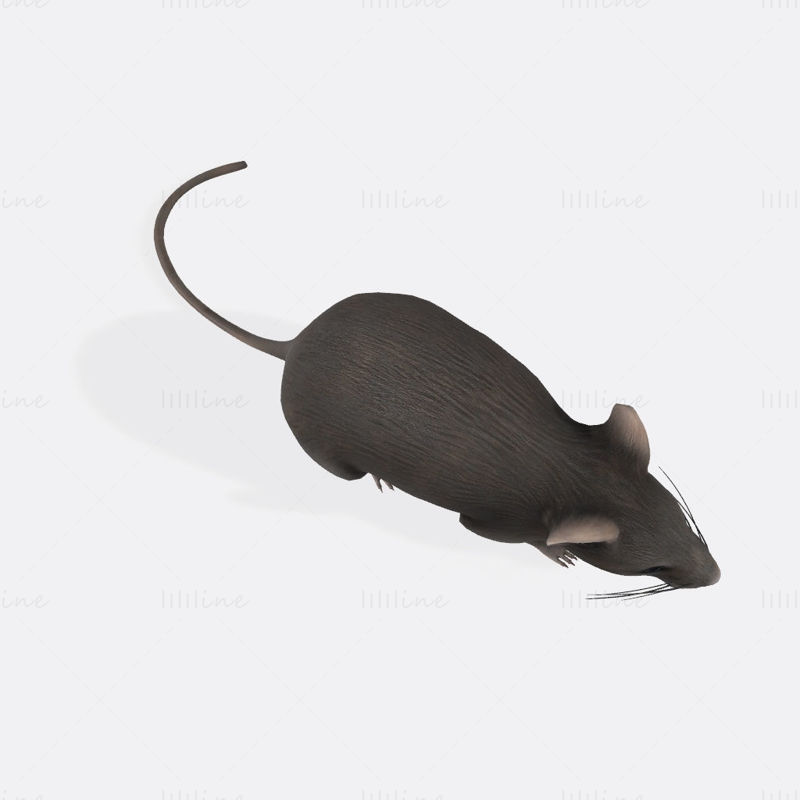 Mouse 3D Printing Model