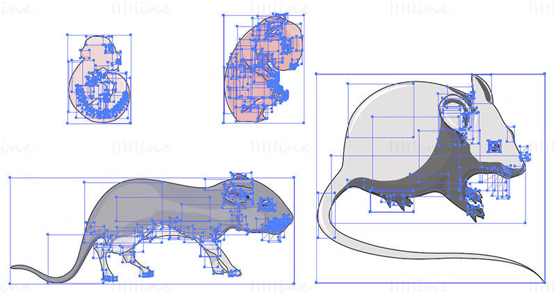 Mouse development vector illustration