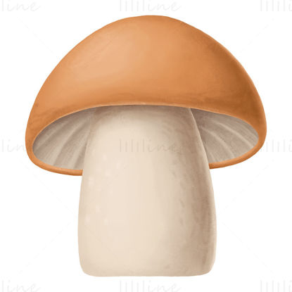 蘑菇 PNG