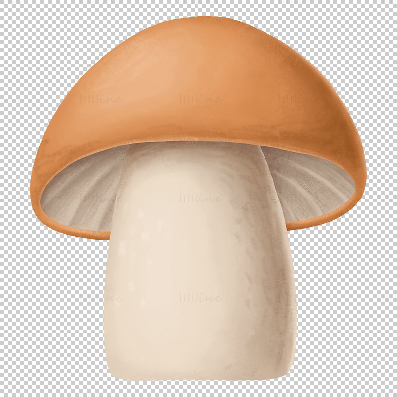 蘑菇 PNG