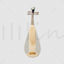 Muziekinstrument luit PNG