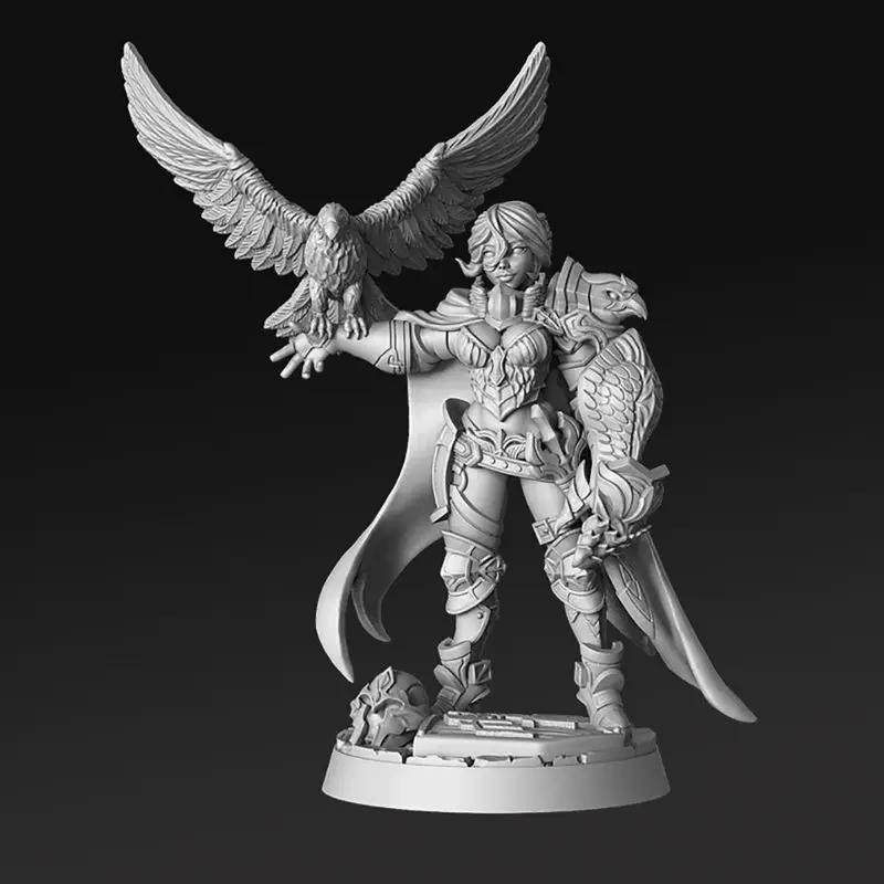 Nadia Female Falconer Miniaturas Modelo de Impressão 3D STL