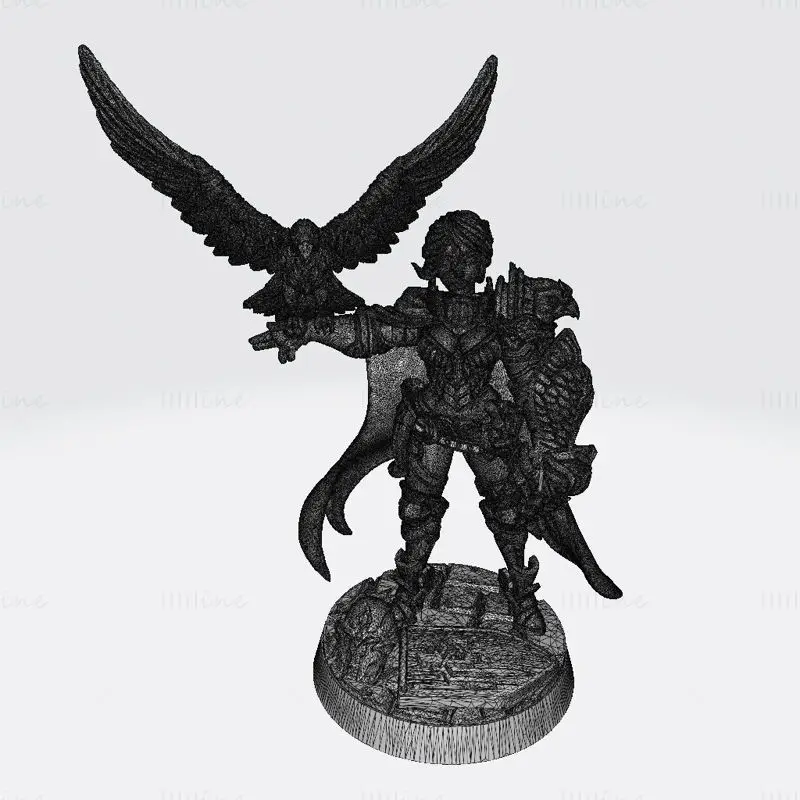 Nadia Female Falconer Miniatures Modello di stampa 3D STL