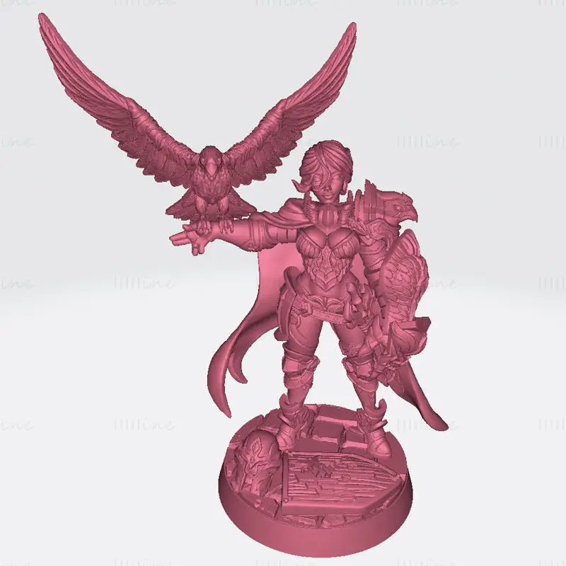 Nadia Female Falconer Miniaturas Modelo de Impressão 3D STL