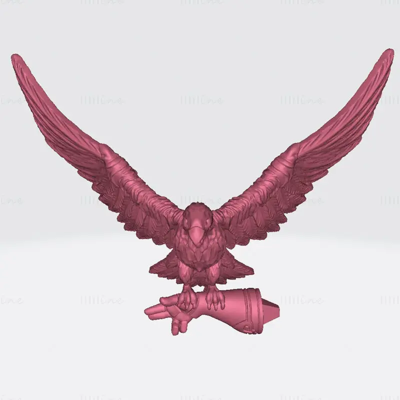 Miniatury ženského Falconer Nadia 3D tisk Model STL