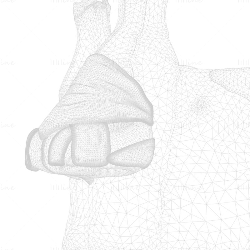 Orr emberi anatómiai szerkezet 3D-s modell