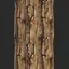 Nature Bark Seamless Texture
