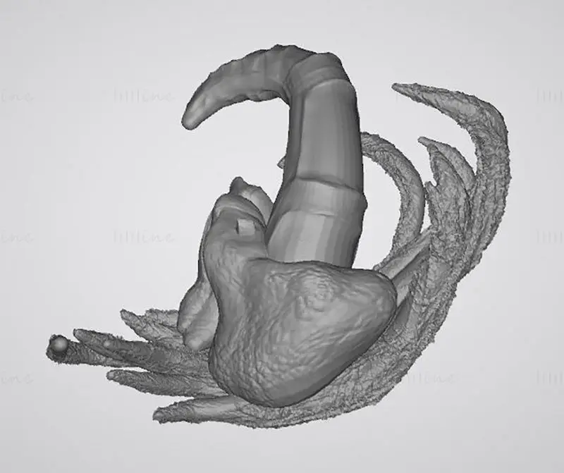 Nelliel Tu Odelschwanck 3D Print Model STL