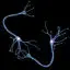 Nerve cell medical illustration