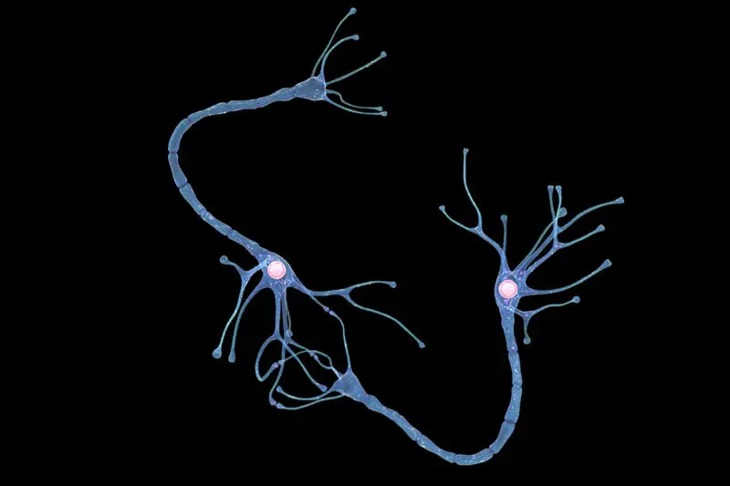 Nerve cell medical illustration