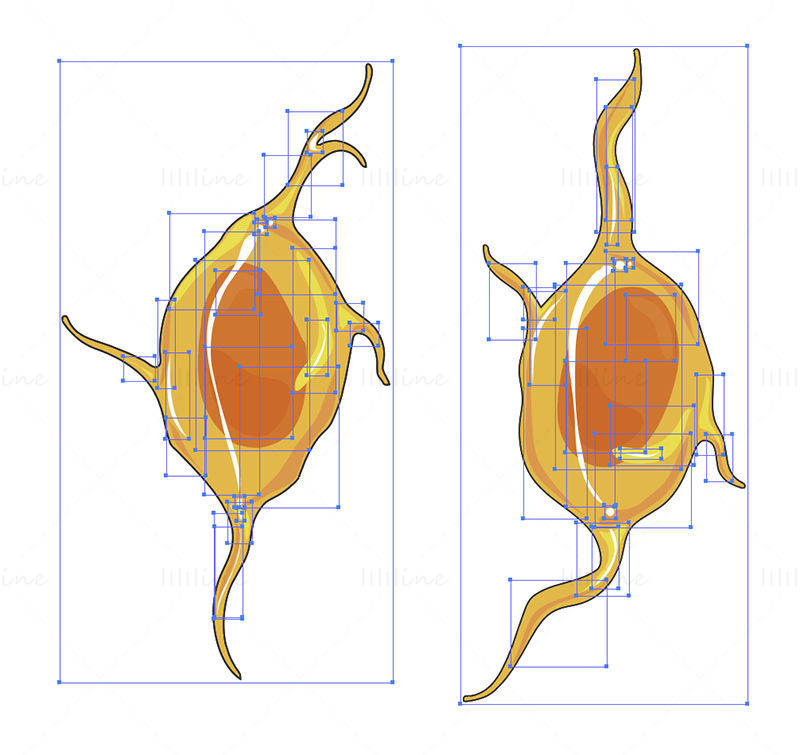 Neuroblasts vector scientific illustration