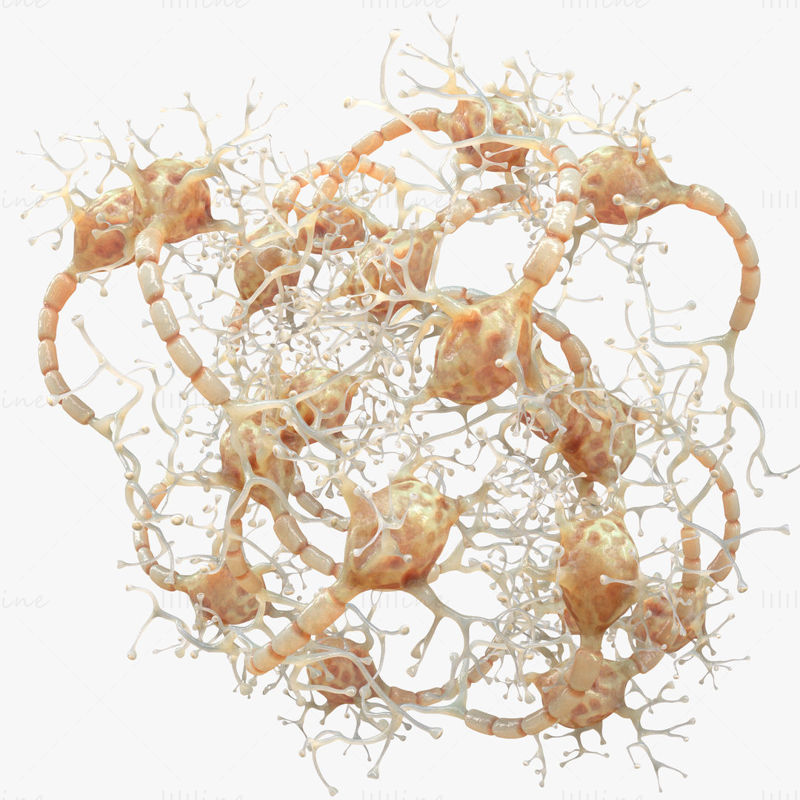 Modelo 3D humano de neurona