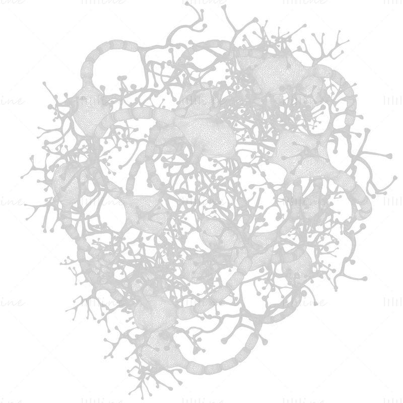 Neurone humain modèle 3D