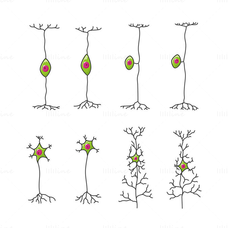 ilustração científica vetorial de neurônios