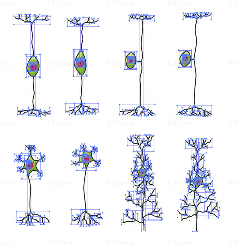 Neurons vector scientific illustration