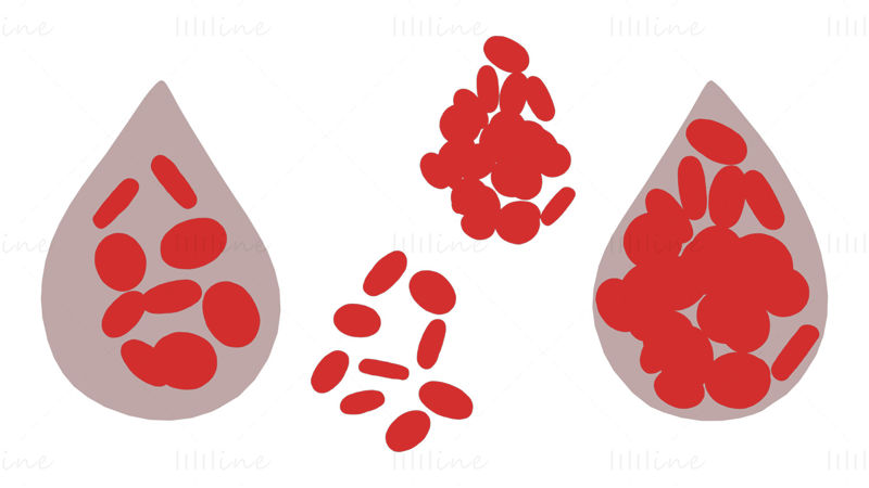 Células sanguíneas normales frente a anemia modelo 3d