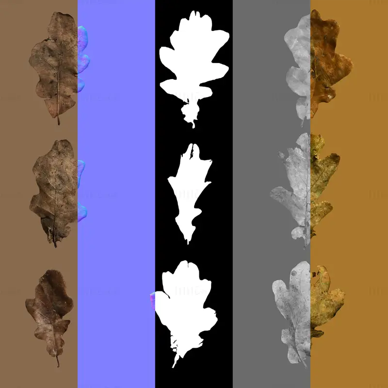 Modello 3D di pile di foglie di quercia