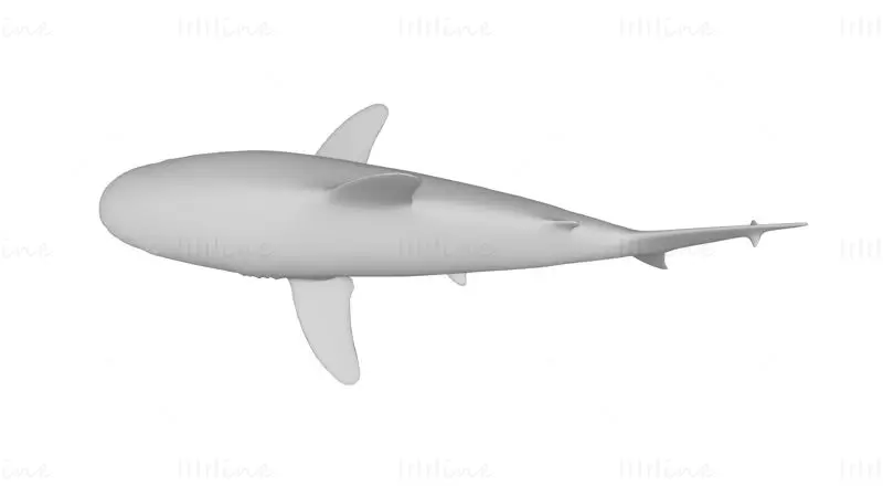 Oceanic White Tip Shark 3D-utskriftsmodell