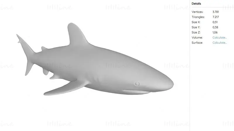 Oceanic White Tip Shark 3D-utskriftsmodell