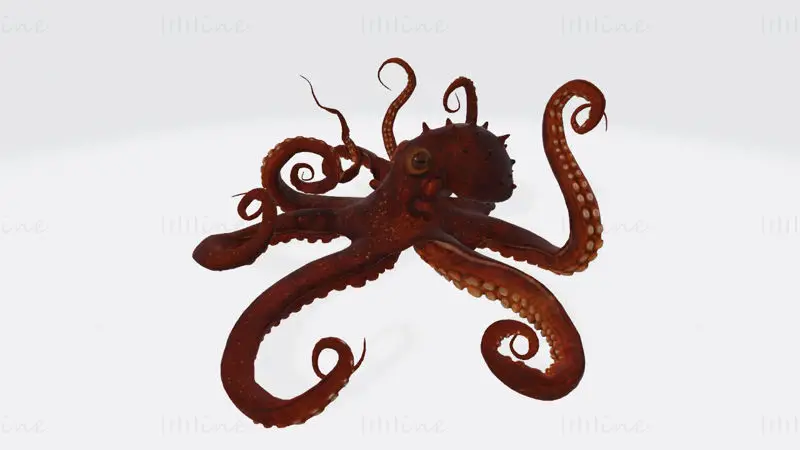 3D-tiskalni model hobotnice