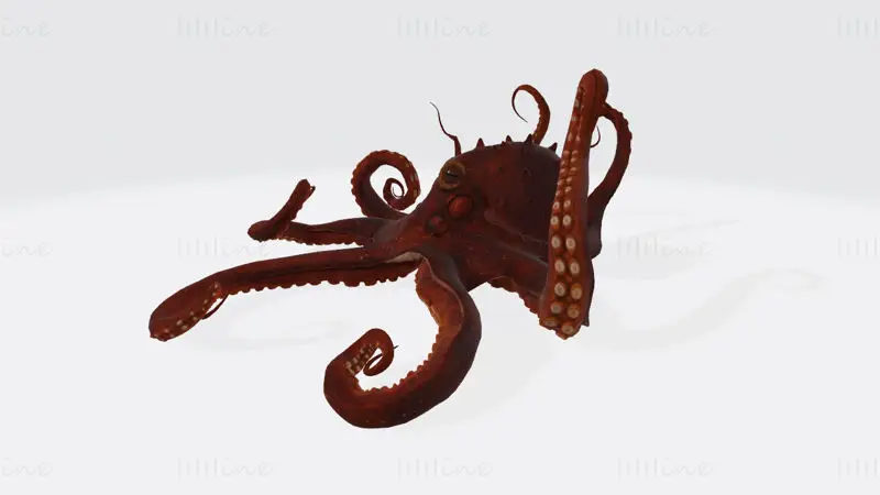 3D-tiskalni model hobotnice