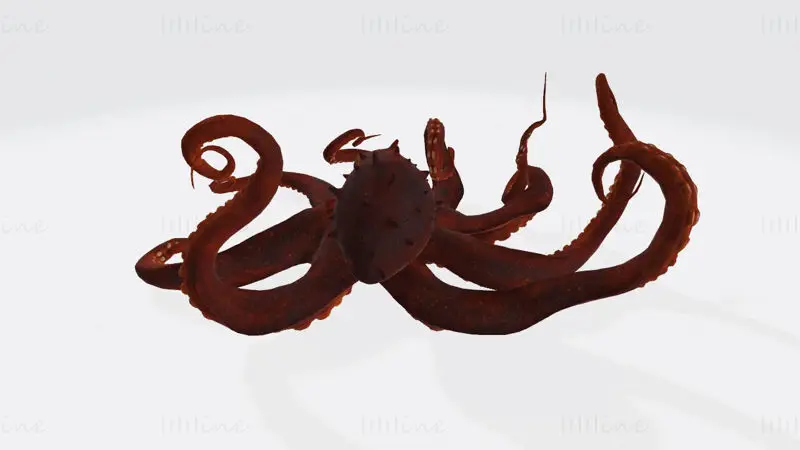 3D-tiskalni model hobotnice