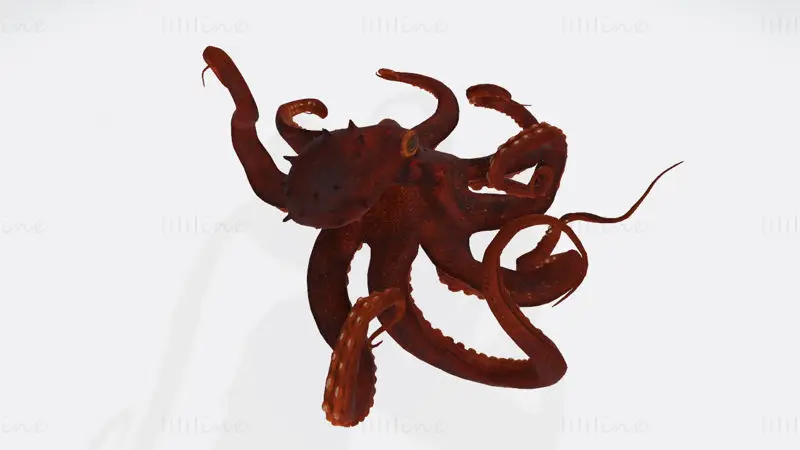 3D-tiskalni model hobotnice