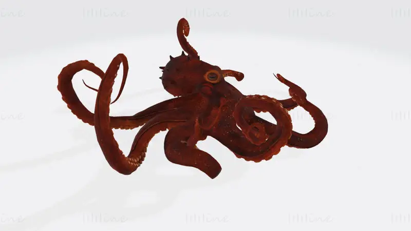 3D-tiskalni model hobotnice