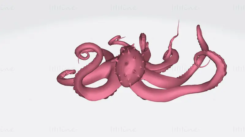 3D-tiskalni model hobotnice