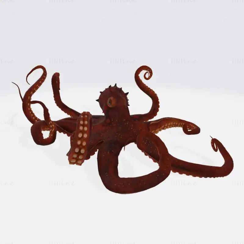 3D-tiskalni model hobotnice