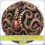 Octopus Seamless Texture