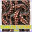 Octopus Seamless Texture