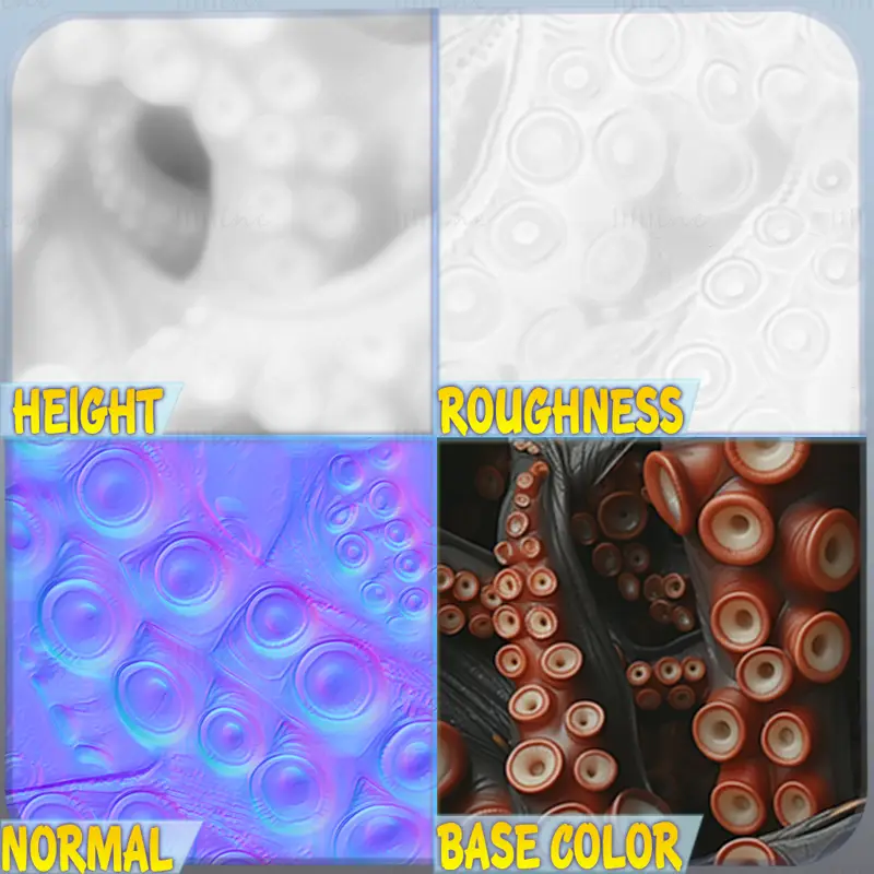 Octopus Seamless Texture