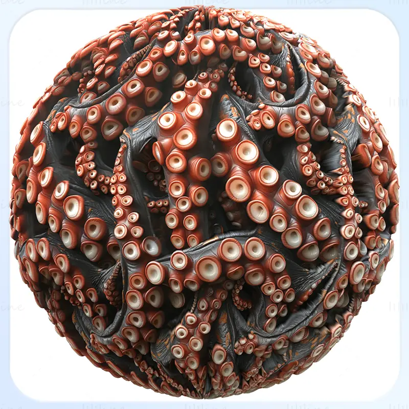 Octopus Seamless Texture