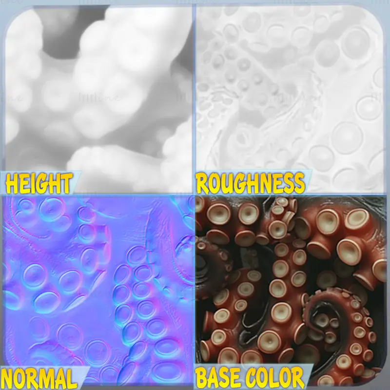 Octopus Seamless Texture