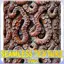 Octopus Seamless Texture