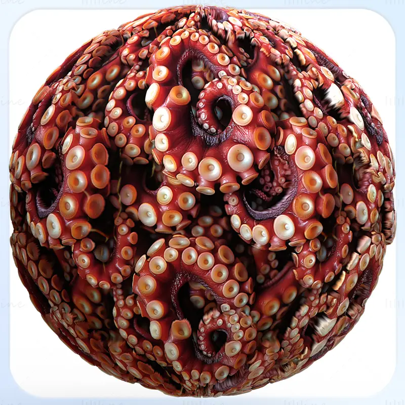 Octopus Seamless Texture