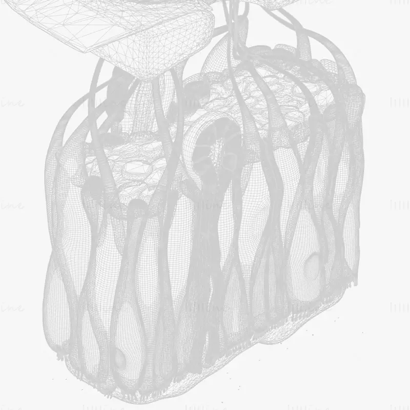 مدل سه بعدی آناتومی میکروسکوپی اپیتلیوم بویایی