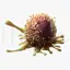 Organ Cancer Cell Tumor 3D Model