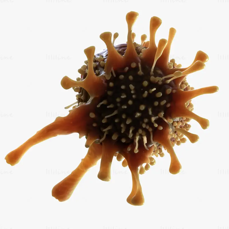 Organ Cancer Cell Tumor 3D Model