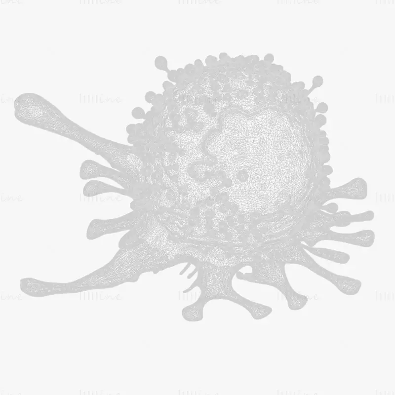 Organ Cancer Cell Tumor 3D Model