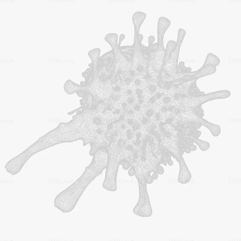 Organ Cancer Cell Tumor 3D Model