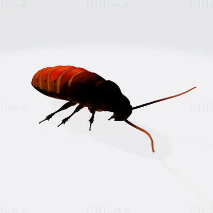 Oriental Cockroach 3D Print Model