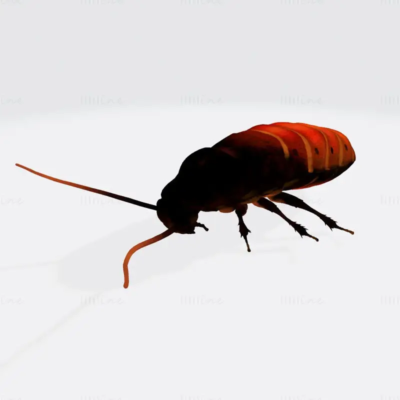 Orientalsk kakerlakk 3D-utskriftsmodell