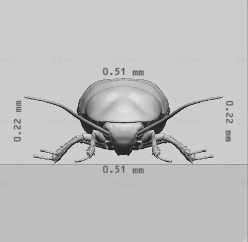 Oryantal Hamamböceği 3D Baskı Modeli
